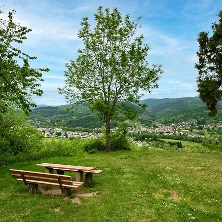 Lägenhet A L'oree Du Verger Griesbach-au-Val